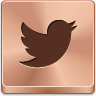 twitter,bird