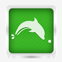 dolphin