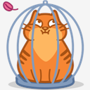 cat,cage