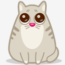 cat,eyes