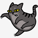 cat,fight