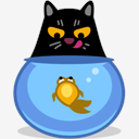 cat,fish