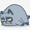 cat,grumpy