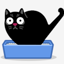 cat,poo