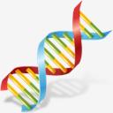 DNA