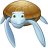 animal,turtle