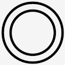 plasmid