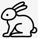 rabbit