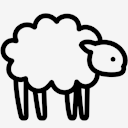sheep