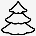 spruce