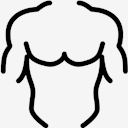 torso