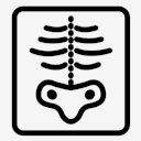 xray
