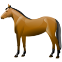 animal,horse