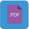 PDF,File