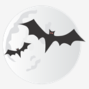 bats,moon