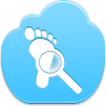 audit