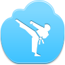 karate