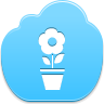 pot,flower
