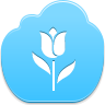 tulip