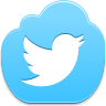 twitter,bird