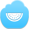 watermelon,piece