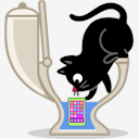 cat,phone
