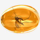 Amber