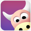 ox,cow