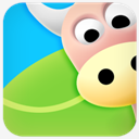 ox,cow