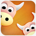ox,cow