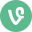 Vine