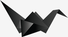bird,black