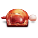 Wooden,Fish