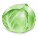 Cabbage