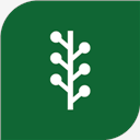 newsvine