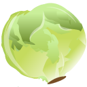 Cabbage