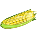 Corn