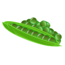 Green,Bean