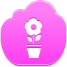 pot,flower