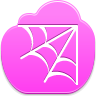 spider,web