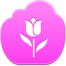 tulip