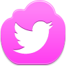 twitter,bird