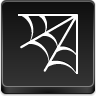spider,web
