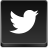 twitter,bird