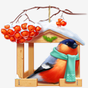 Bullfinch