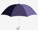 Umbrella
