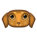 animal,dog