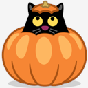 cat,pumpkin