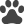 dog,paw