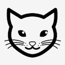 kitty,cat